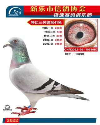 特比综合41名