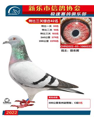 500公里10名