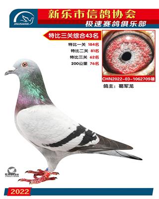 特比综合43名