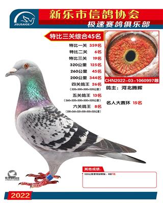 名人大赛环15名