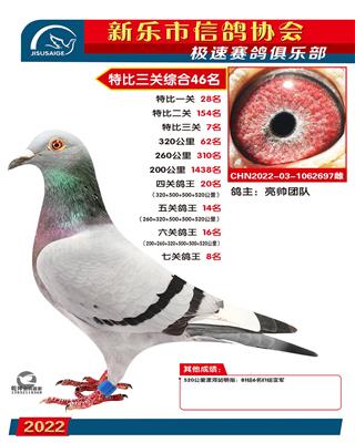 七关鸽王8名