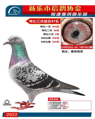 决杀关5名