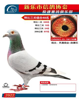 决杀关24名
