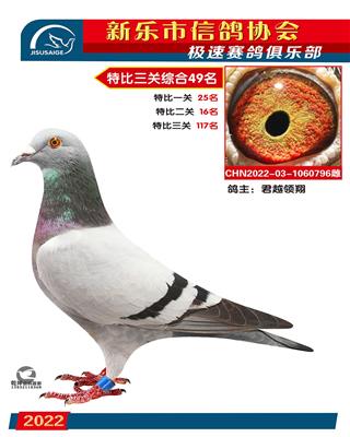 特比综合49名