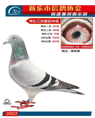 特比综合50名