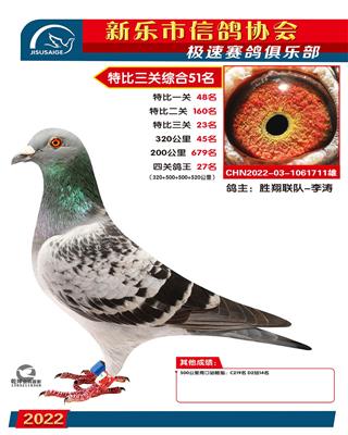 四关鸽王27名