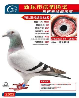 500公里季军