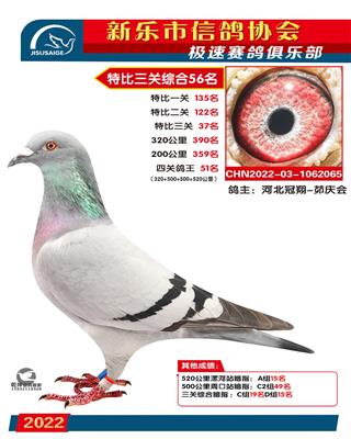 特比综合56名