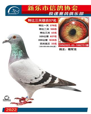 四关鸽王33名
