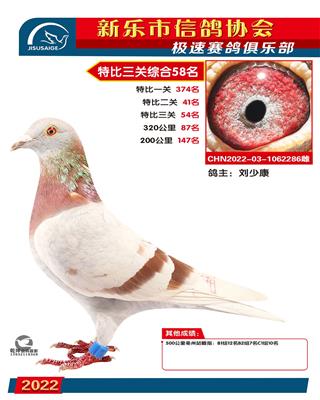 特比综合58名