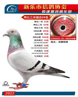七关鸽王22名