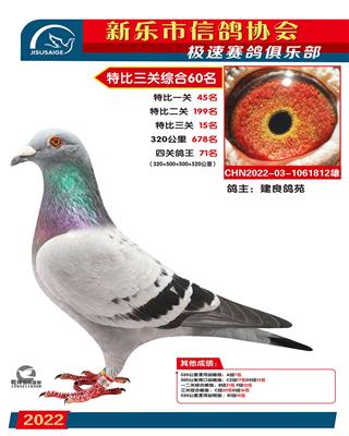 决杀关特比15名