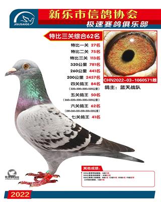 七关鸽王41名
