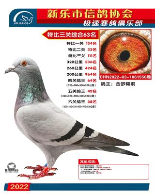 六关鸽王38名
