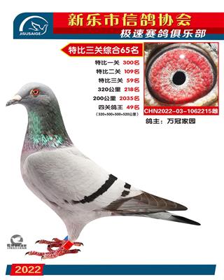 特比综合65名