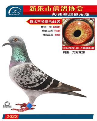 特比综合66名
