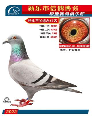 特比环综合67名
