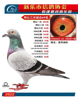 七关鸽王26名