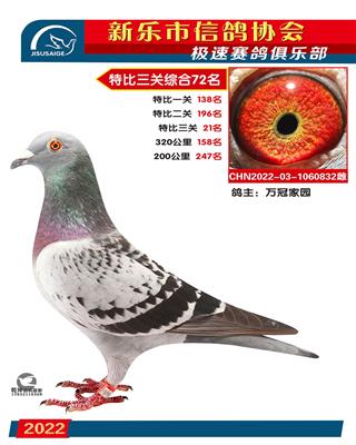 绝杀关特比21名