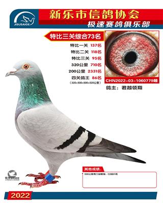 特比综合73名