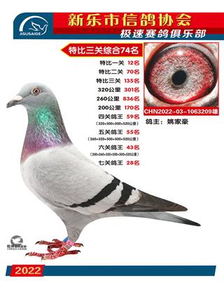 七关鸽王28名