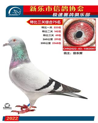 特比综合75名