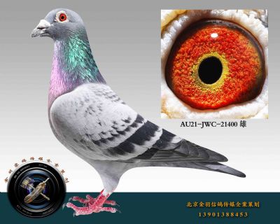 AU21-JWC-21400 