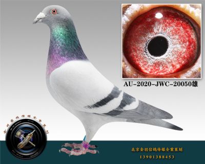 AU-2020-JWC-20050-ɰ-