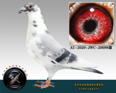 AU-2020-JWC-20098-ɰ-