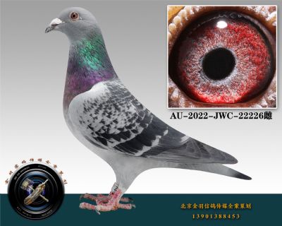 AU-2022-JWC-22226-ɰ-