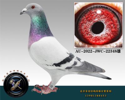 AU-2022-JWC-22348-ɰ-