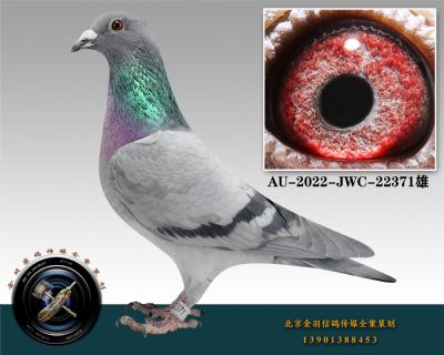 AU-2022-JWC-22371-ɰ-