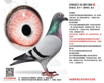 唐山开尔鸽业种鸽展厅图片