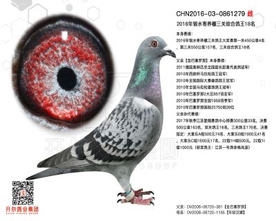 开尔鸽业 - 中信网铭鸽展厅