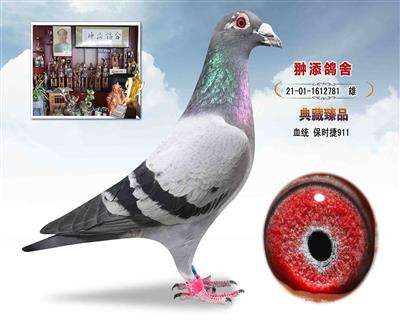 保时捷911近亲回血 作出