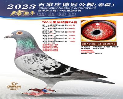 1365210德冠700公里第24名公棚:石家庄德冠公棚春棚￥0元￥800元共4次