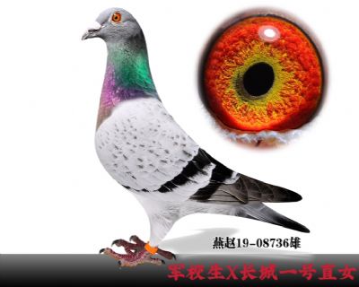 私环《慕利门·军校生》