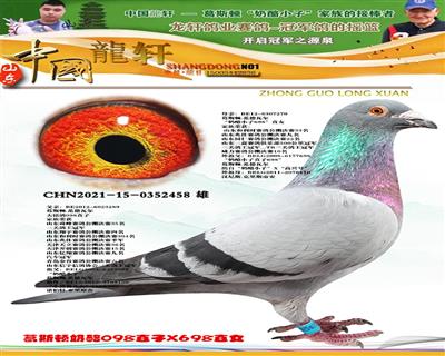 范德瓦尔奶酪098直子x奶酪大名鸽698直女