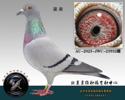 61-AU-2023-JWC-23932ɰ