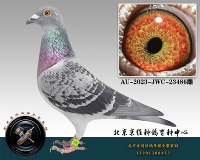 63-AU-2023-JWC-23486ƴ