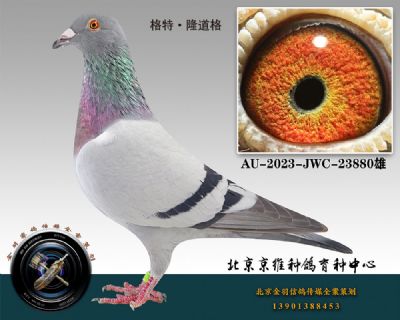 65-AU-2023-JWC-23880һ