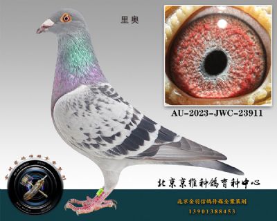 67-AU-2023-JWC-23911ɰ