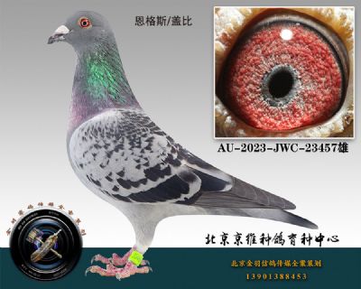 66-AU-2023-JWC-23457ɰ