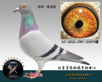 72-AU-2023-JWC-23879һ