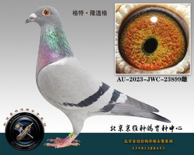 73-AU-2023-JWC-23899һƴ