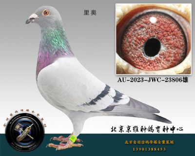 74-AU-2023-JWC-23806ɰ