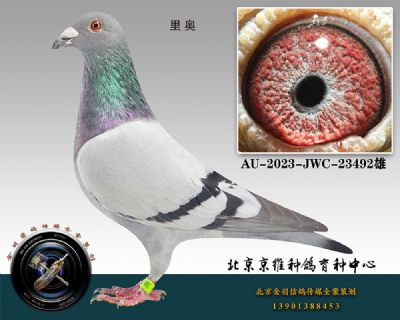 76-AU-2023-JWC-23492ɰ