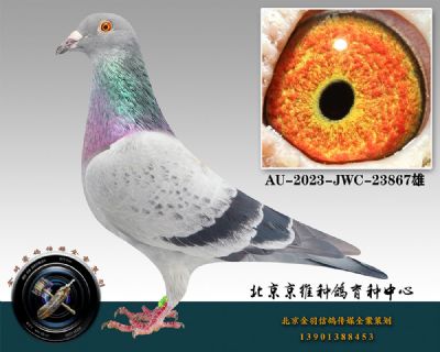 77-AU-2023-JWC-23867