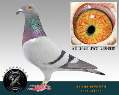 78-AU-2023-JWC-23845һ