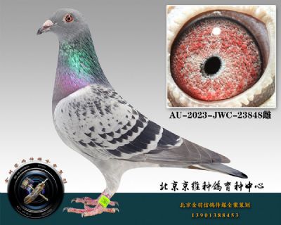 79-AU-2023-JWC-23848ɰ